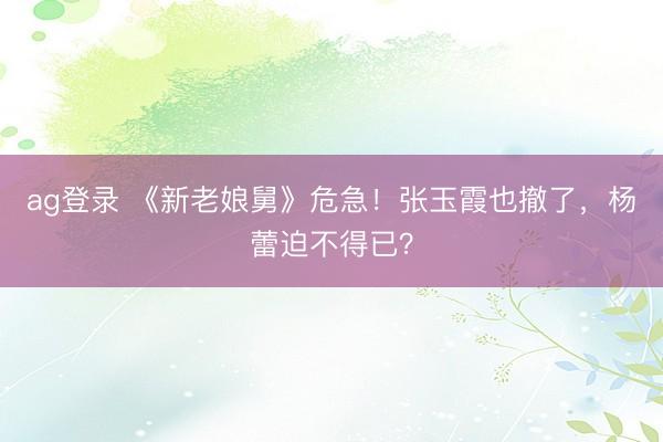 ag登录 《新老娘舅》危急！张玉霞也撤了，杨蕾迫不得已？