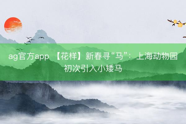 ag官方app 【花样】新春寻“马”：上海动物园初次引入小矮马
