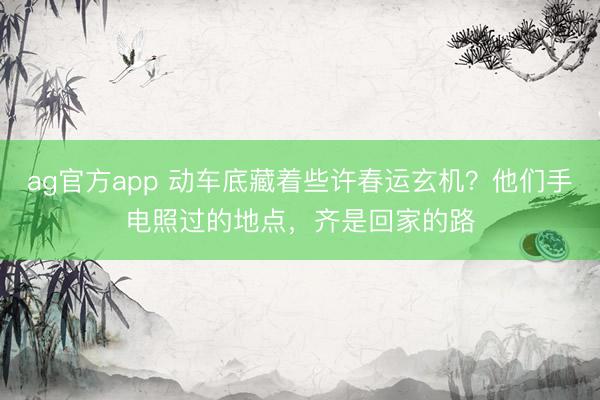 ag官方app 动车底藏着些许春运玄机？他们手电照过的地点，齐是回家的路