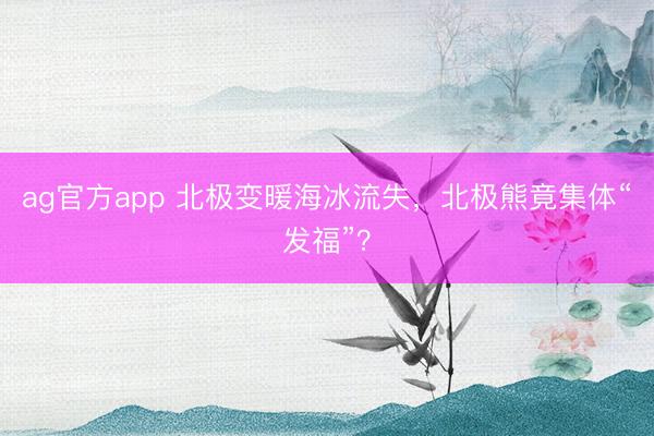 ag官方app 北极变暖海冰流失，北极熊竟集体“发福”？