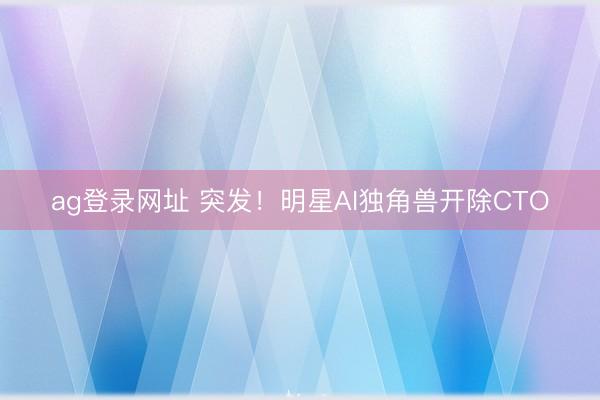 ag登录网址 突发！明星AI独角兽开除CTO