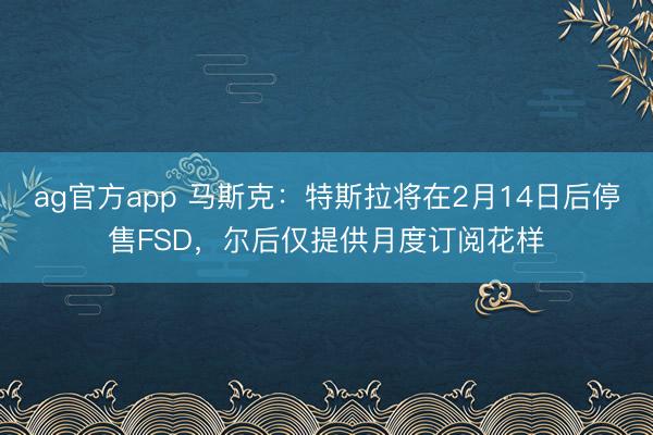 ag官方app 马斯克：特斯拉将在2月14日后停售FSD，尔后仅提供月度订阅花样