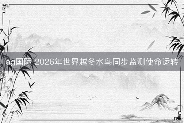 ag国际 2026年世界越冬水鸟同步监测使命运转