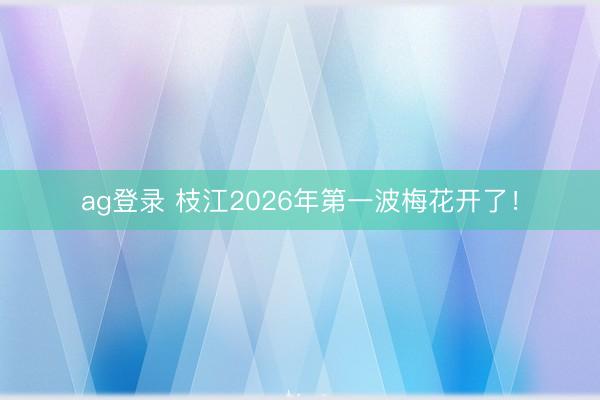 ag登录 枝江2026年第一波梅花开了！