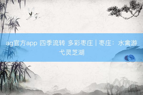 ag官方app 四季流转 多彩枣庄 | 枣庄：水禽游弋灵芝湖