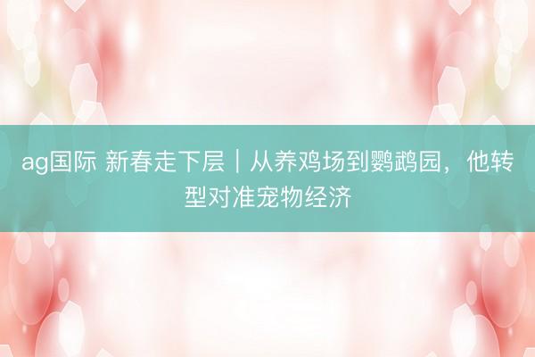 ag国际 新春走下层｜从养鸡场到鹦鹉园，他转型对准宠物经济