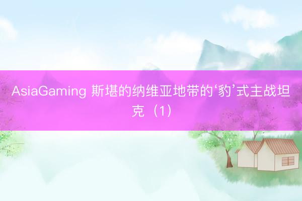 AsiaGaming 斯堪的纳维亚地带的‘豹’式主战坦克（1）