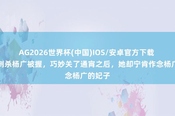 AG2026世界杯(中国)IOS/安卓官方下载 女刺客刺杀杨广被握，巧妙关了通宵之后，她却宁肯作念杨广的妃子