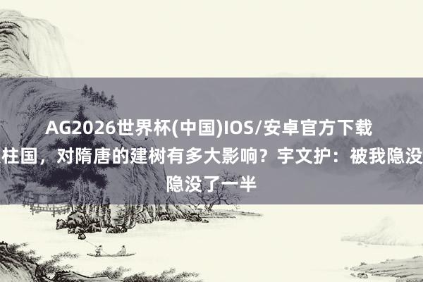 AG2026世界杯(中国)IOS/安卓官方下载 西魏八柱国，对隋唐的建树有多大影响？宇文护：被我隐没了一半