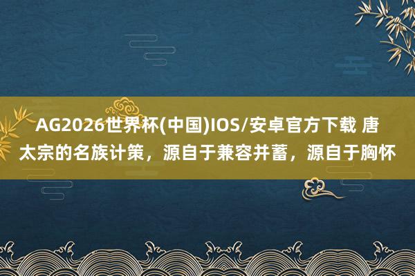 AG2026世界杯(中国)IOS/安卓官方下载 唐太宗的名族计策，源自于兼容并蓄，源自于胸怀