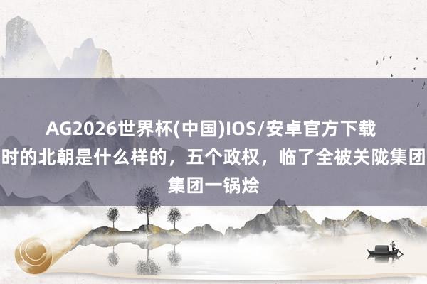 AG2026世界杯(中国)IOS/安卓官方下载 南北朝时的北朝是什么样的,五个政权,临了全被关陇集团一锅烩