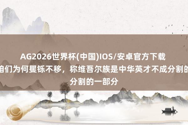 AG2026世界杯(中国)IOS/安卓官方下载 今天，咱们为何矍铄不移，称维吾尔族是中华英才不成分割的一部分