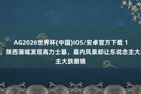 AG2026世界杯(中国)IOS/安卓官方下载 1999年，陕西蒲城发现高力士墓，墓内风景却让东说念主大跌眼镜