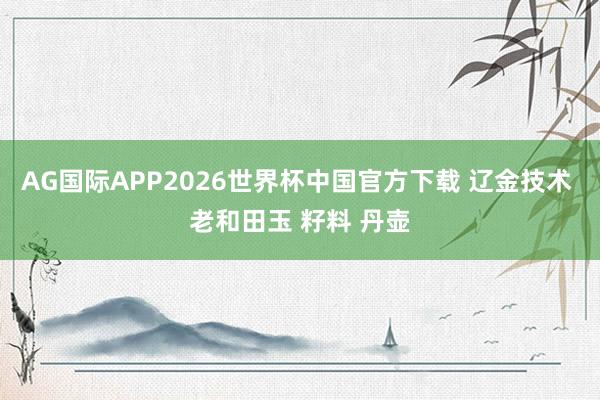 AG国际APP2026世界杯中国官方下载 辽金技术 老和田玉 籽料 丹壶