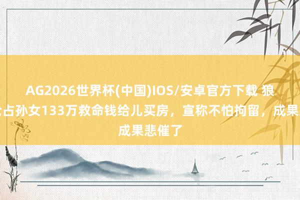AG2026世界杯(中国)IOS/安卓官方下载 狼外婆抢占孙女133万救命钱给儿买房，宣称不怕拘留，成果悲催了