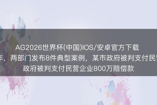AG2026世界杯(中国)IOS/安卓官方下载 民营经济促进法周年，两部门发布8件典型案例，某市政府被判支付民营企业800万赔偿款