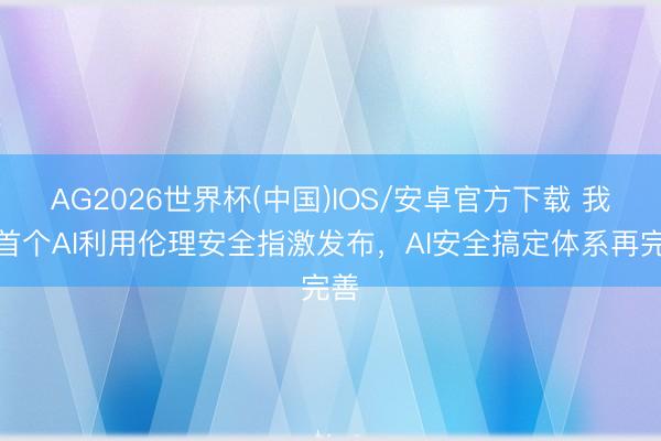 AG2026世界杯(中国)IOS/安卓官方下载 我国首个AI利用伦理安全指激发布,AI安全搞定体系再完善