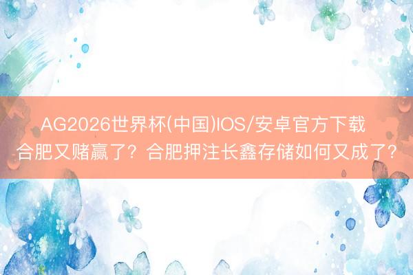 AG2026世界杯(中国)IOS/安卓官方下载 合肥又赌赢了？合肥押注长鑫存储如何又成了？