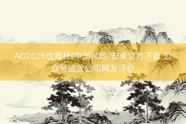 AG2026世界杯(中国)IOS/安卓官方下载 公众号运营公司网友评价