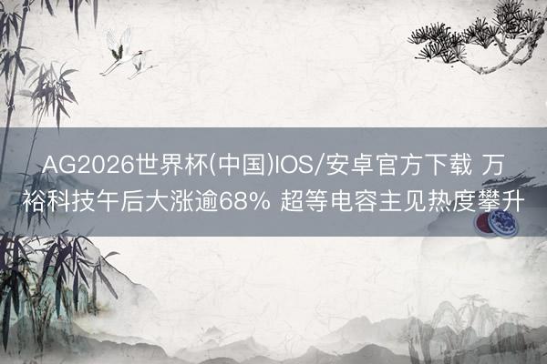 AG2026世界杯(中国)IOS/安卓官方下载 万裕科技午后大涨逾68% 超等电容主见热度攀升