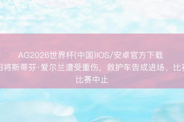 AG2026世界杯(中国)IOS/安卓官方下载 曼城旧将斯蒂芬·爱尔兰遭受重伤，救护车告成进场、比赛中止