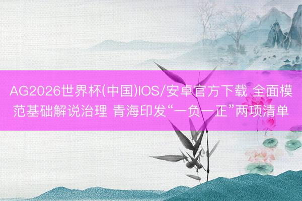 AG2026世界杯(中国)IOS/安卓官方下载 全面模范基础解说治理 青海印发“一负一正”两项清单