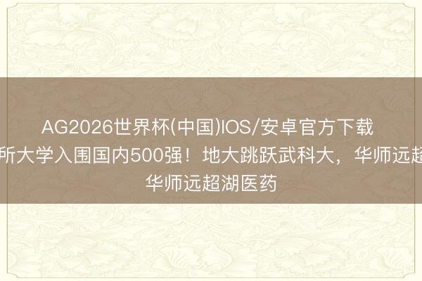 AG2026世界杯(中国)IOS/安卓官方下载 湖北37所大学入围国内500强！地大跳跃武科大，华师远超湖医药