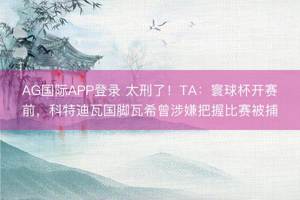 AG国际APP登录 太刑了！TA：寰球杯开赛前，科特迪瓦国脚瓦希曾涉嫌把握比赛被捕